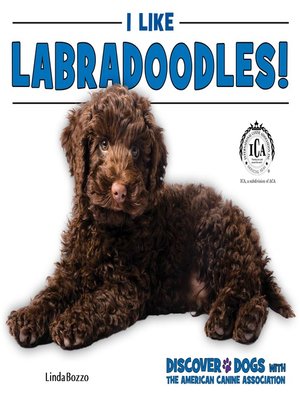 cover image of I Like Labradoodles!